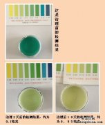 怎樣除甲醛，效果看得見？