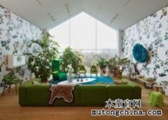 植物“大戰(zhàn)”室內甲醛污染